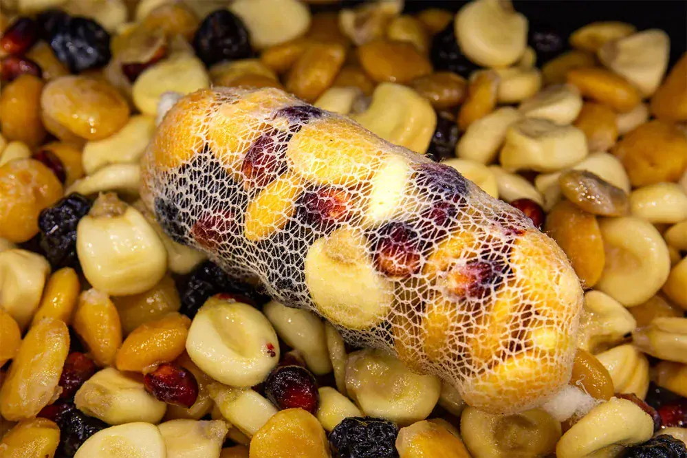 Monster Mix “Pineapple + ScopEx”