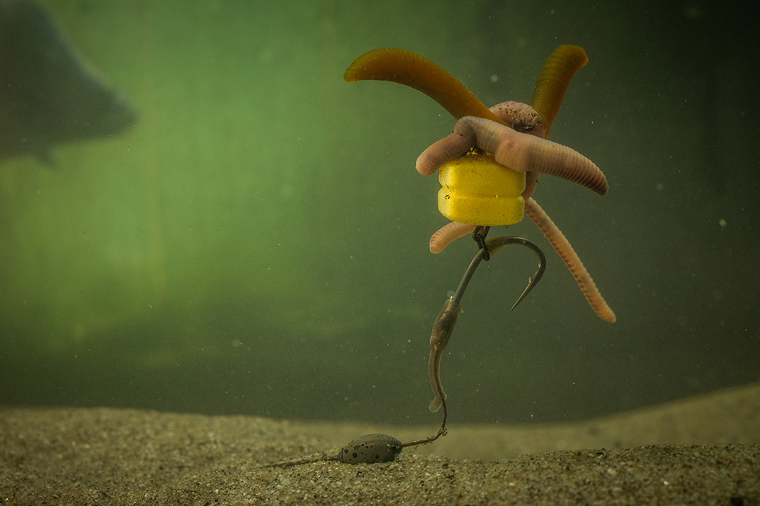 Pole Position Single Corn Maggot Clip 