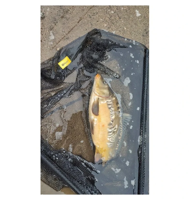 Fencl POGUMOVANÁ ORIGINÁLNA SIEŤ Carp Premium 100