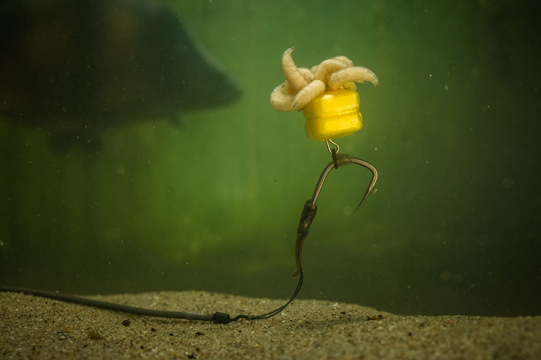 Pole Position Single Corn Maggot Clip 