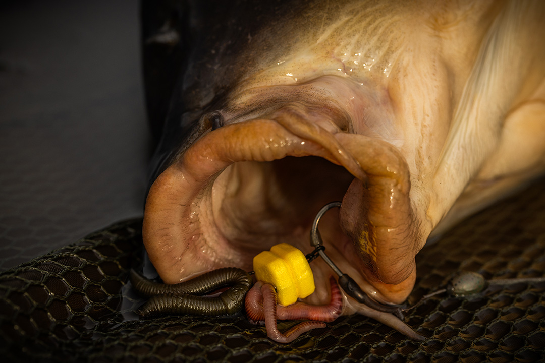 Pole Position Single Corn Maggot Clip 