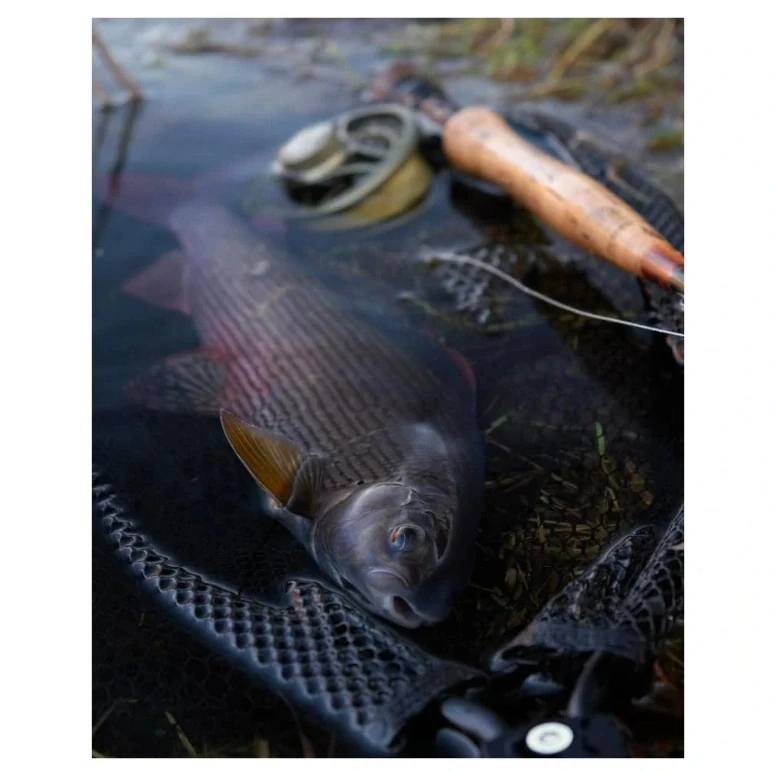 Fencl muškársky podberák QUEEN