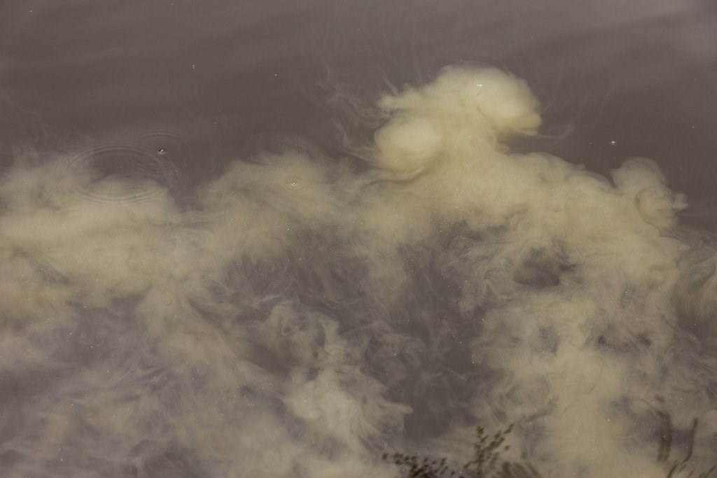 Nikl Economic Feed Boilie Rape Cloud 20mm, 5kg