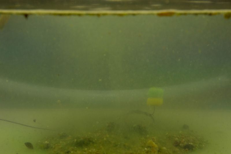 Active Stick Mix "Freaking Insect"