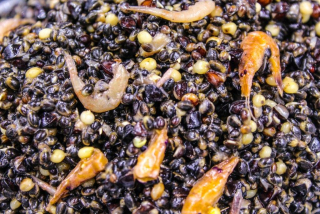 Hi-Natural Macromix "Krill to Thrill"