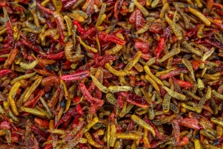 MICRO Destruction Insects 1,5l