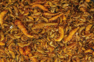 Destruction Seafood 1,5l