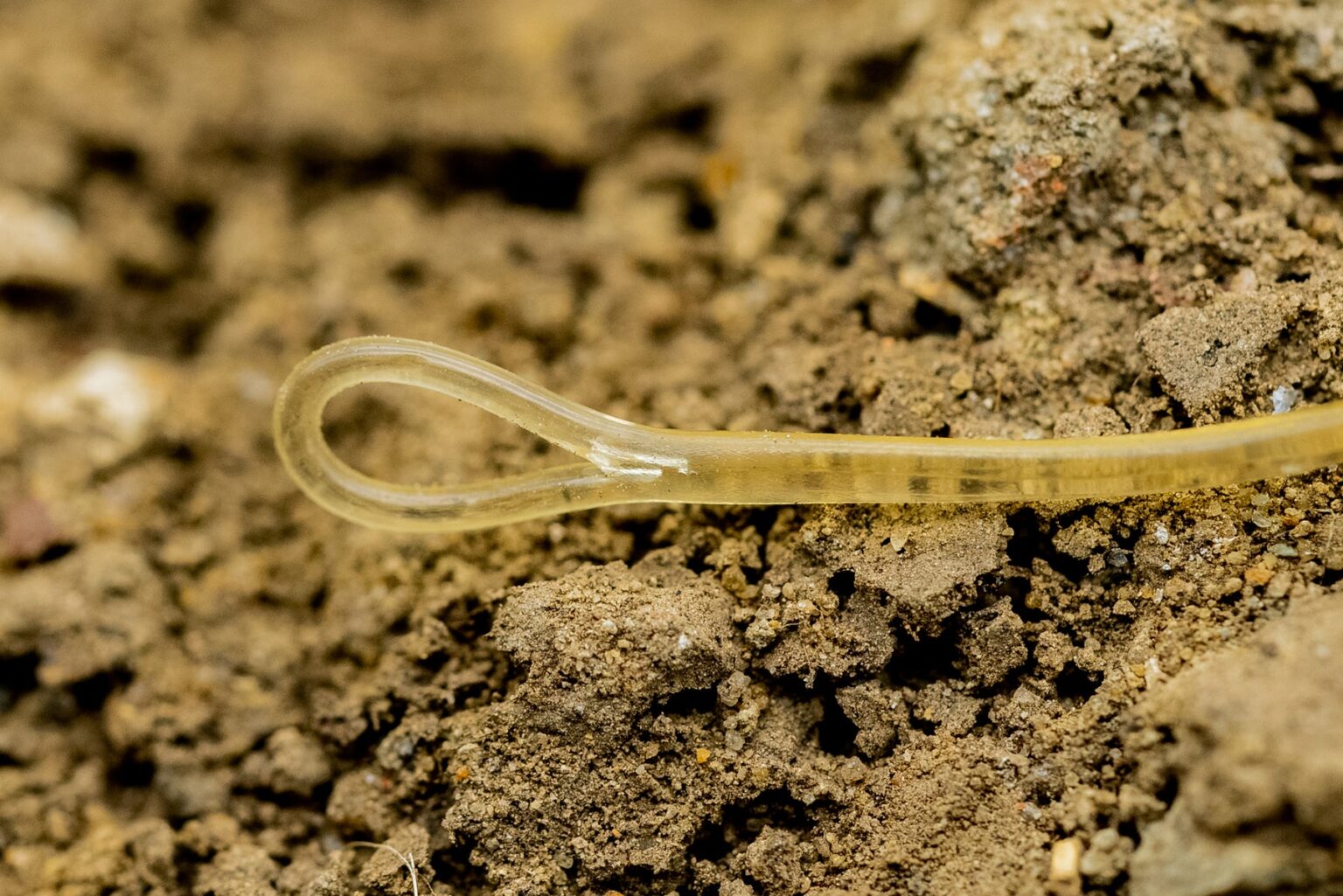 ONE MORE CAST BLEND FUSED QC LEADER 40LBS/1m - Šokový naväzec – Obrázok 4