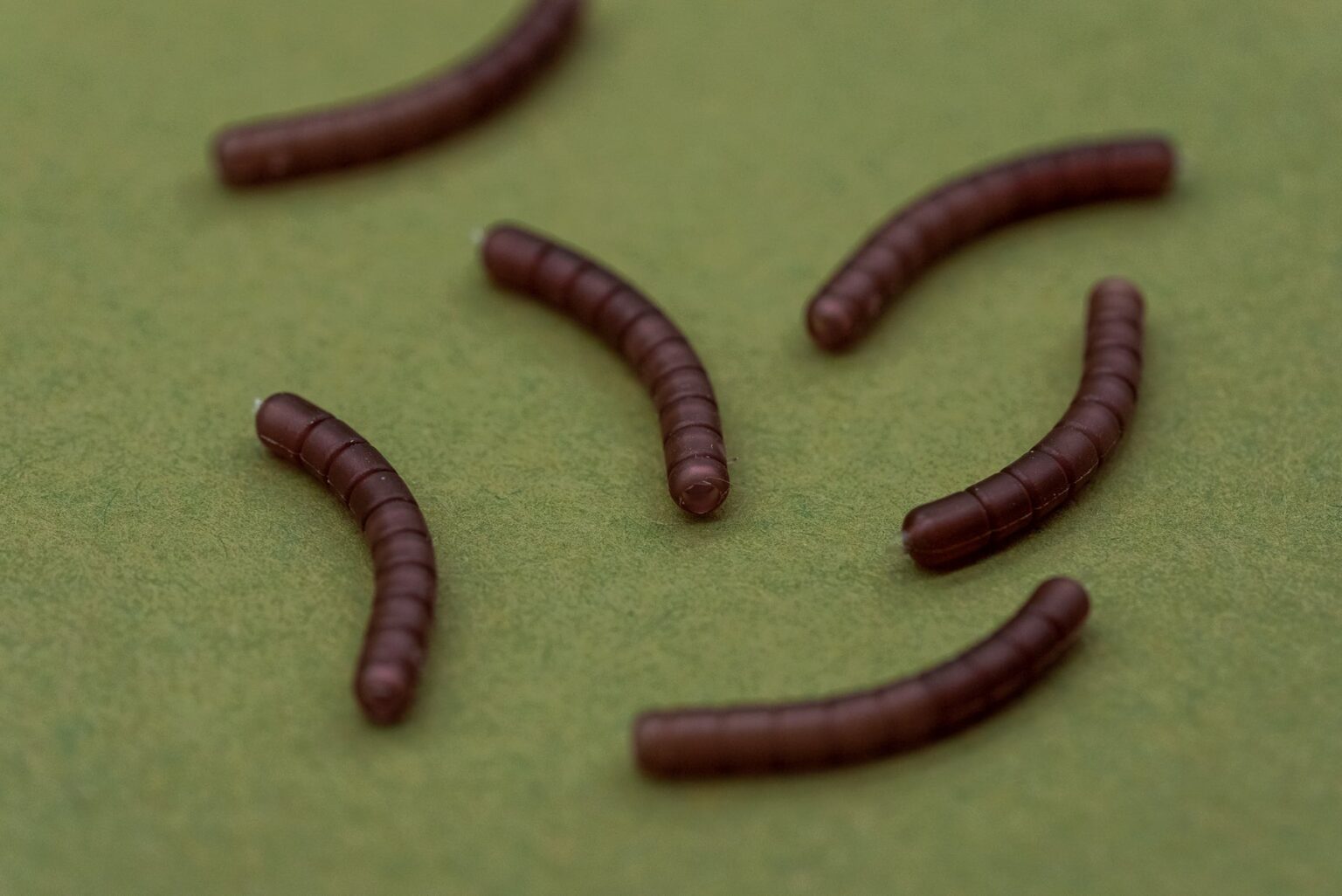 ONE MORE CAST DAZZLERS WORMALINER - CURVE - Vlasové rovnátka Hnedé – Obrázok 4