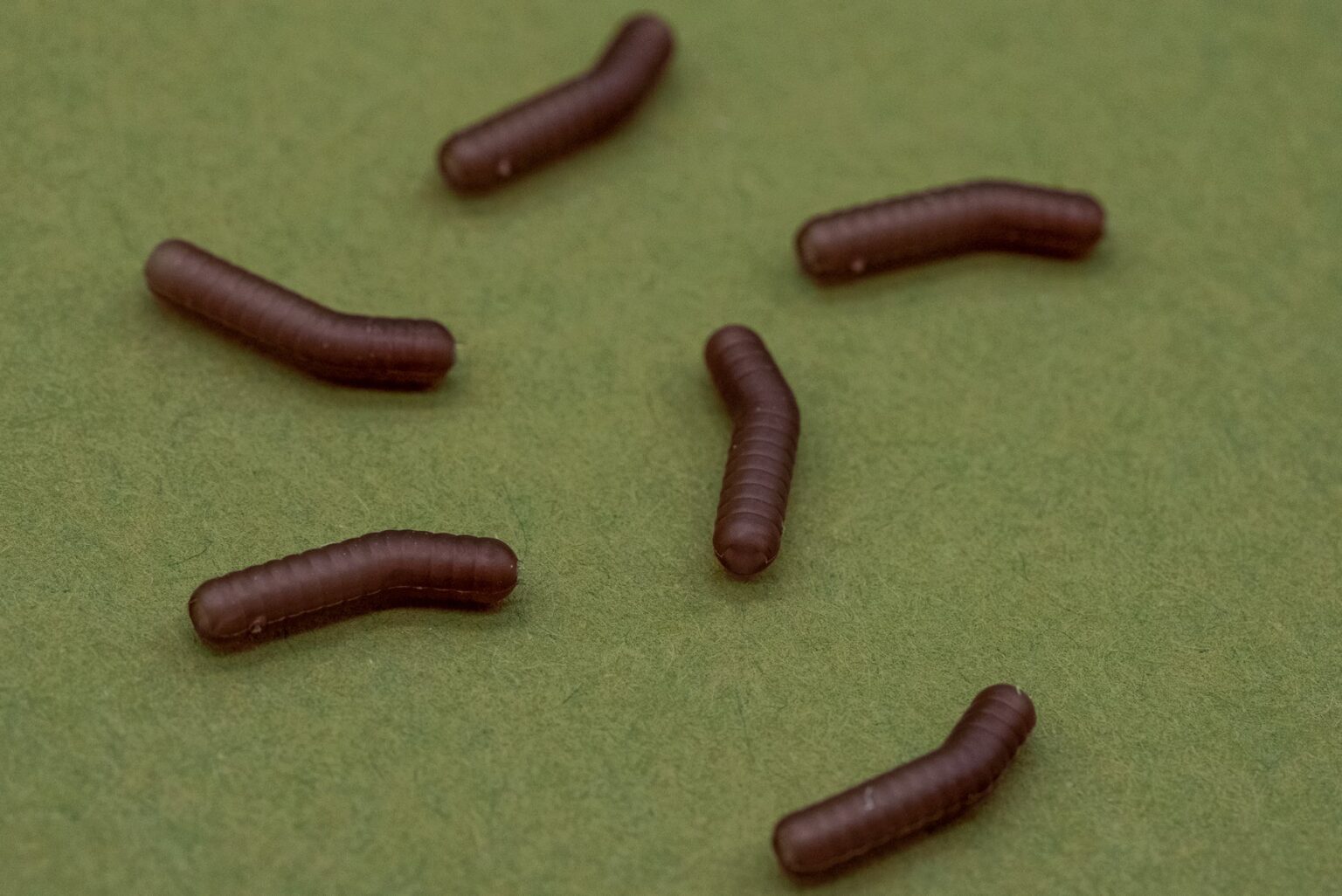 ONE MORE CAST DAZZLERS WORMALINER - INTURN - Vlasové rovnátka Hnedé – Obrázok 4