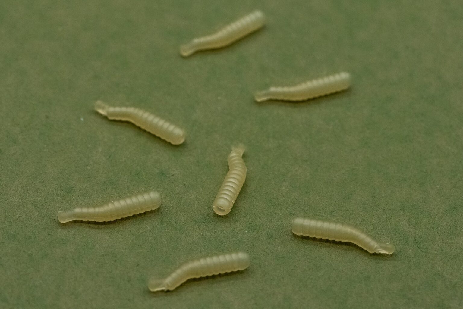 ONE MORE CAST DAZZLERS MAGOLINER - ALIGNER - Vlasové rovnátka Biele – Obrázok 4