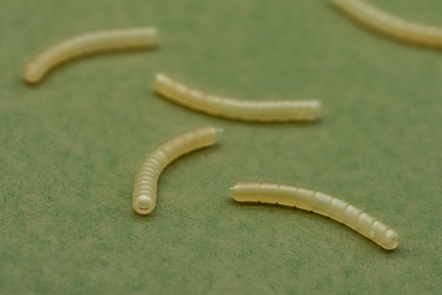 ONE MORE CAST DAZZLERS MAGOLINER - CURVE - Vlasové rovnátka Biele – Obrázok 4