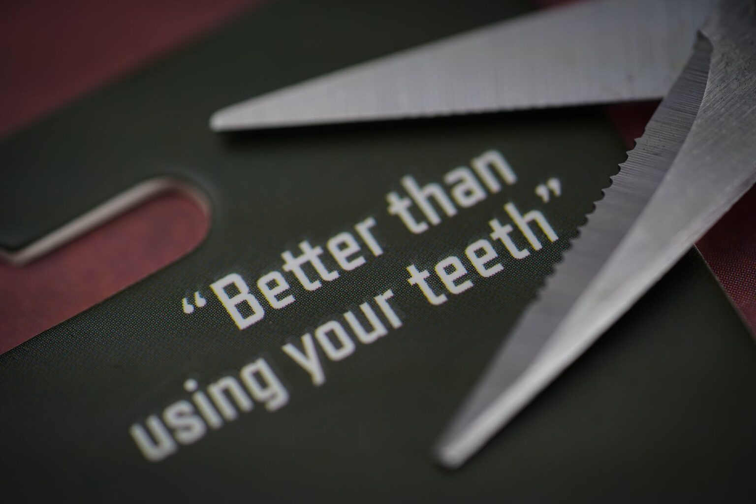 ONE MORE CAST SUNNYS SKIZZAS - Nožničky – Obrázok 4