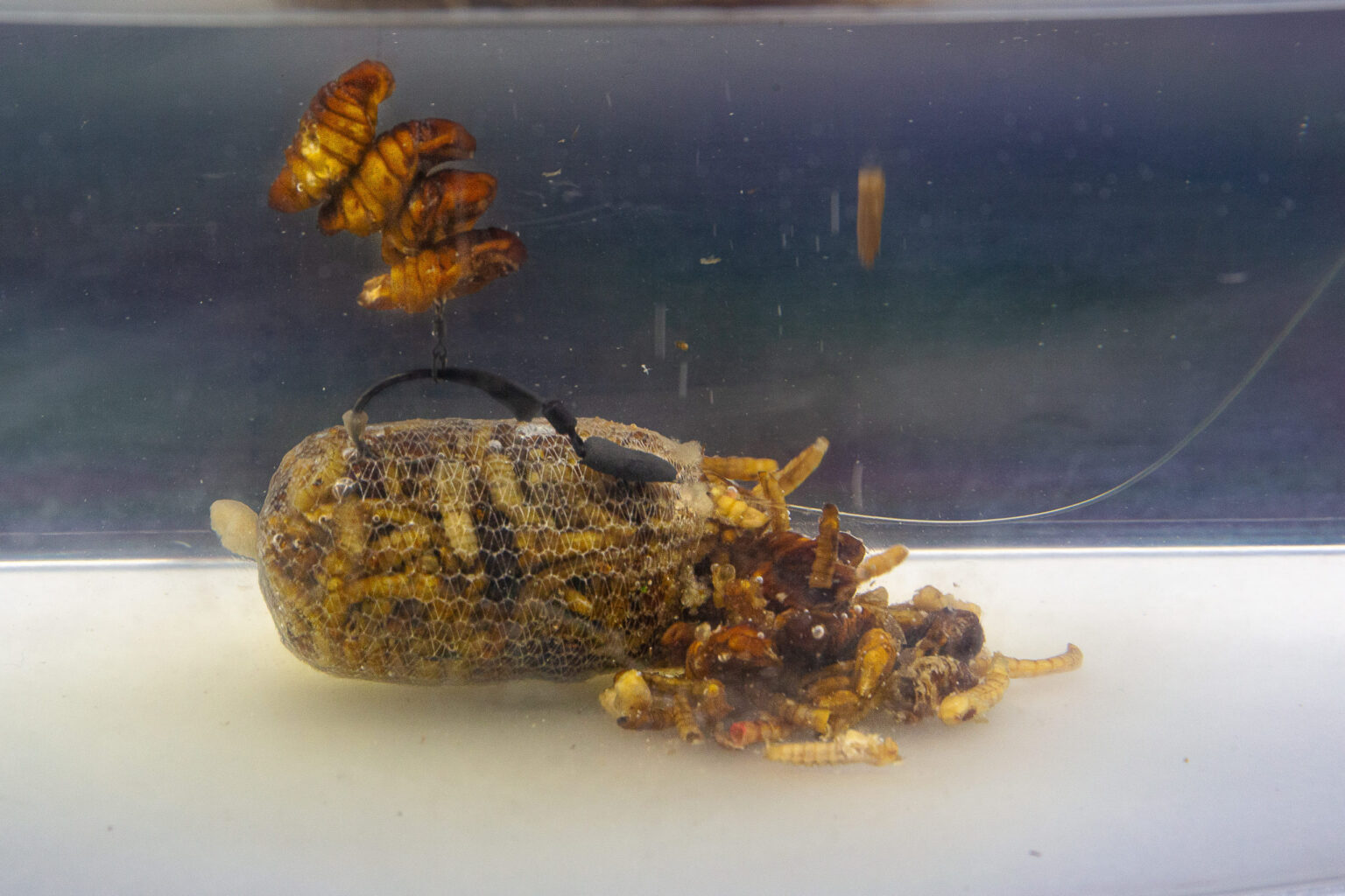 Destruction Insects 1,5l – Obrázok 5