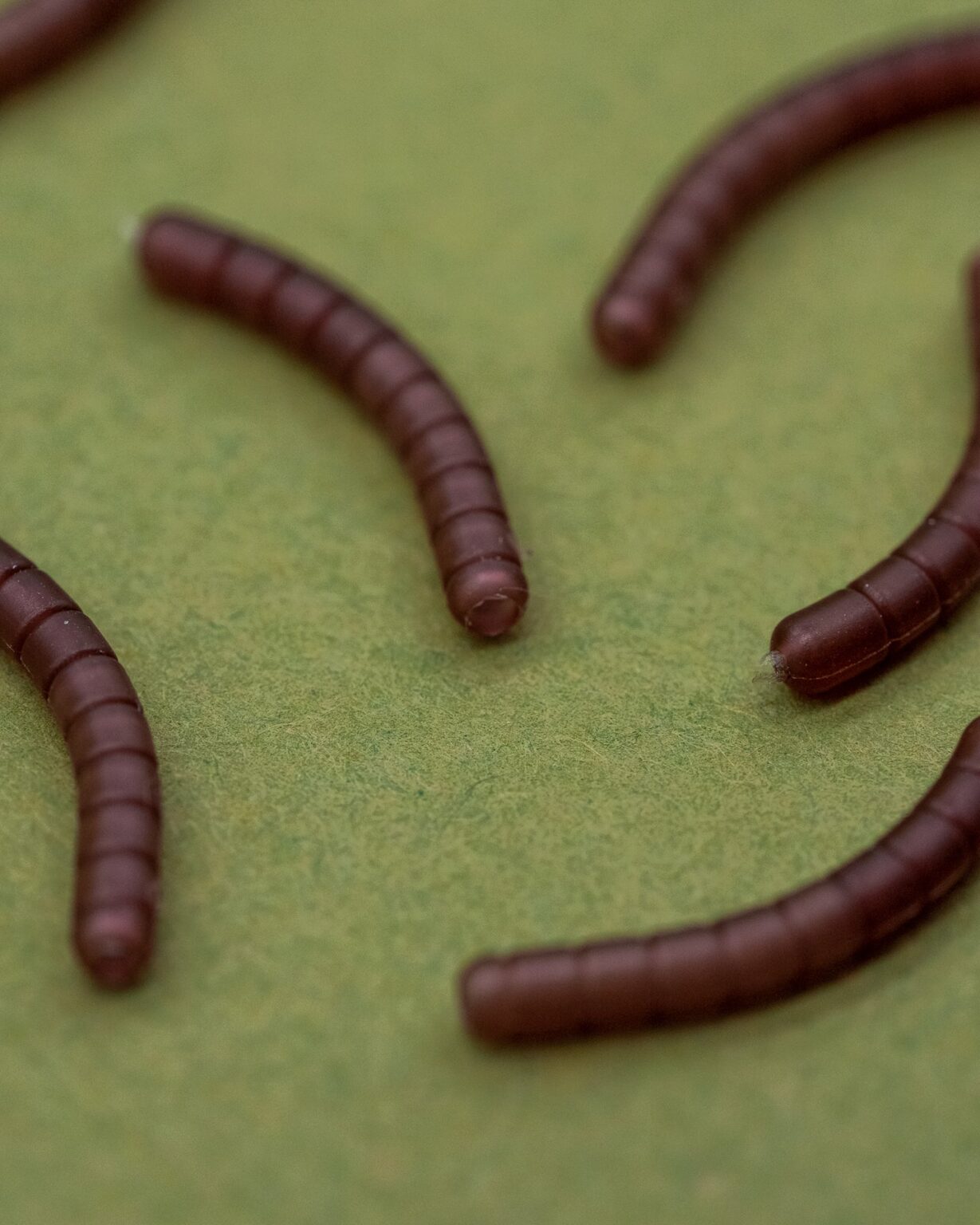 ONE MORE CAST DAZZLERS WORMALINER - CURVE - Vlasové rovnátka Hnedé – Obrázok 5