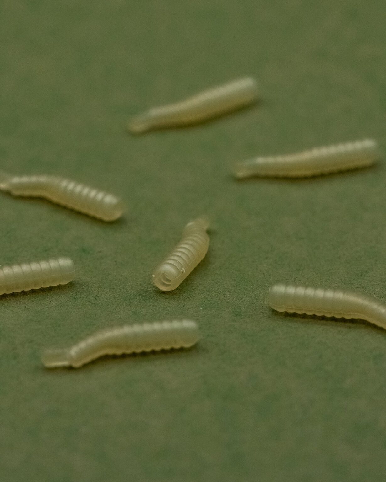 ONE MORE CAST DAZZLERS MAGOLINER - ALIGNER - Vlasové rovnátka Biele – Obrázok 5