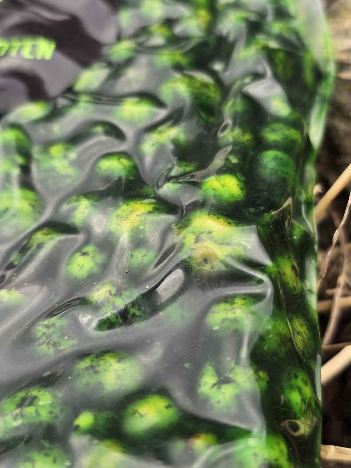 Sticky Tijgernoten Garlic / Green Lipped Mussel 1kg – Obrázok 3