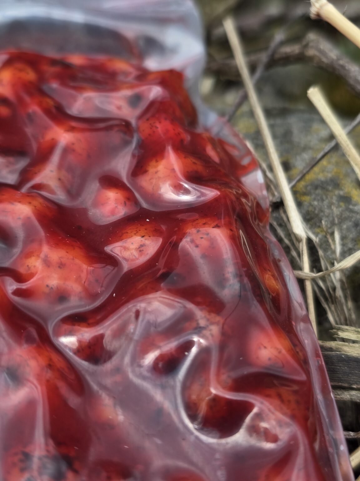 Sticky Tijgernoten Indian Spice / Monstercrab 1kg – Obrázok 3