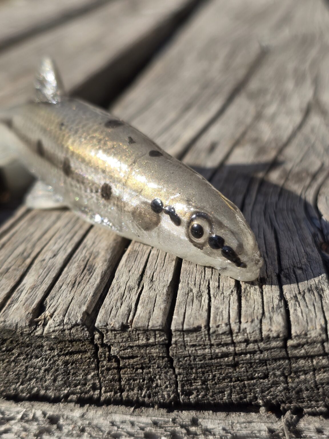 Tomy´s Bait Hrúz 16 cm – Obrázok 3